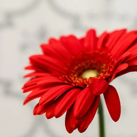 Parkowa Апартаменти Сопот