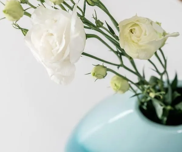 Apartman Parkowa Sopot